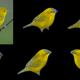 Illustration for article titled Nvidia Taught an AI to Instantly Generate Fully-Textured 3D Models From Flat 2D Images